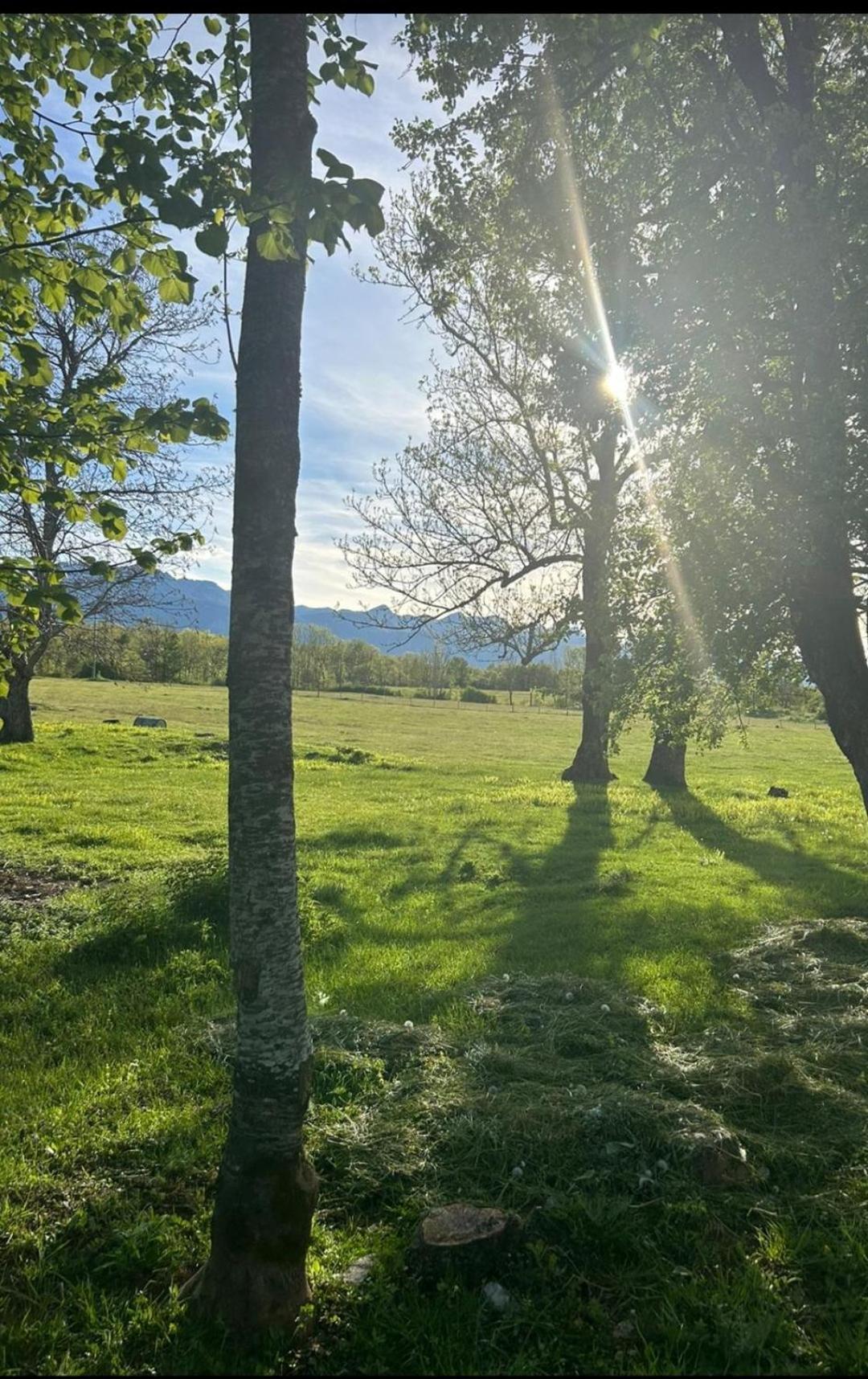 Domus Nostra Lägenhet Lovinac  Exteriör bild
